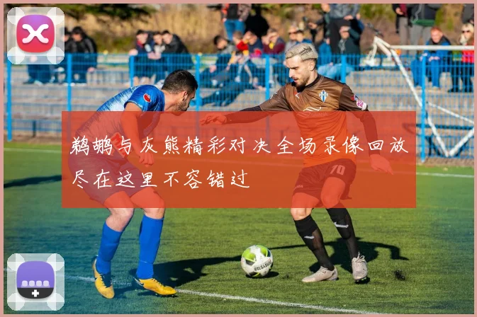 鹈鹕与灰熊精彩对决全场录像回放尽在这里不容错过