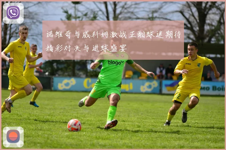 诺维奇与威科姆激战正酣球迷期待精彩对决与进球盛宴