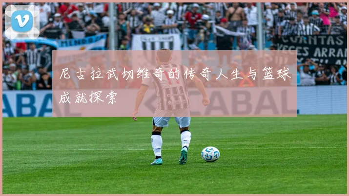 尼古拉武切维奇的传奇人生与篮球成就探索
