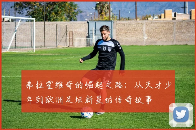 弗拉霍维奇的崛起之路：从天才少年到欧洲足坛新星的传奇故事