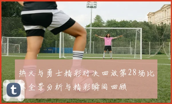 热火与勇士精彩对决回放第28场比赛全景分析与精彩瞬间回顾
